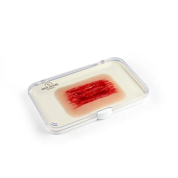 Wound Moulage "Abrasion" – Προσομοίωση Εκδοράς